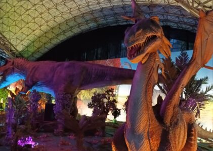 Dinosaurios y dragones fantásticos: un mundo de magia y aventura