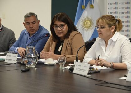 Proyecto en marcha para regular la obstetricia: legisladores debaten su ejercicio profesional