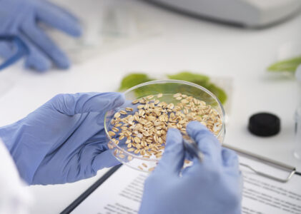 La industria alimentaria se reúne en córdoba para debatir sobre innovación, nutrición y desarrollo tecnológico