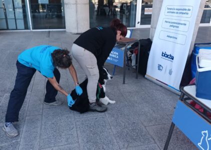 Jornada de vacunación antirrábica en el Concejo Deliberante de Córdoba por el Día del Animal
