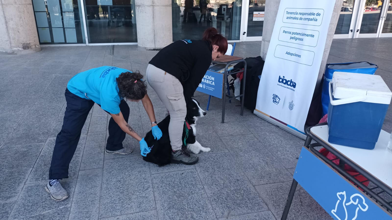 Jornada de vacunación antirrábica en el Concejo Deliberante de Córdoba por el Día del Animal
