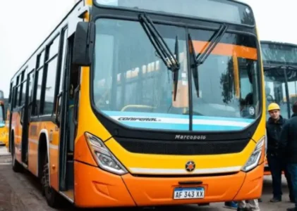 Transporte urbano: Coniferal continúa invirtiendo para fortalecer el servicio