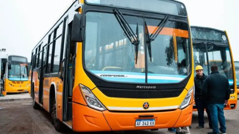 Transporte urbano: Coniferal continúa invirtiendo para fortalecer el servicio