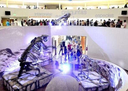 El Museo de Ciencias Naturales inaugura las vacaciones de invierno con una propuesta inmersiva y una agenda de actividades gratuitas