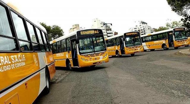 El transporte de Córdoba por dentro: Coniferal, una de las empresas que mueve a miles de cordobeses cada día