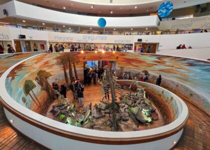 Vacaciones de invierno: Rodio inauguró un espacio inmersivo que renueva la experiencia del Museo de Ciencias Naturales
