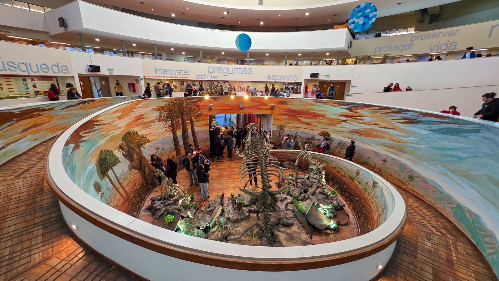 Vacaciones de invierno: Rodio inauguró un espacio inmersivo que renueva la experiencia del Museo de Ciencias Naturales